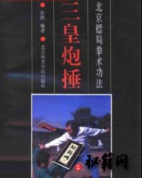 [武功秘籍]三皇炮捶——北京镖局拳术功法.pdf