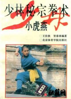 [武功秘籍]少林秘宗拳术——小虎燕（王佐秋）.pdf