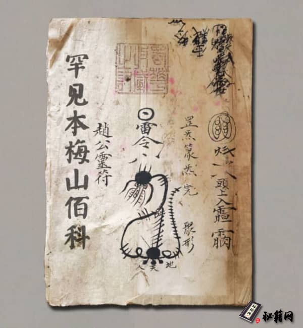 《罕见本梅山佰萪》