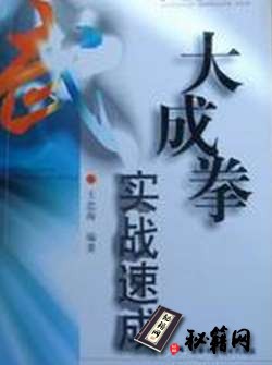 [武功秘籍]大成拳实战速成.pdf