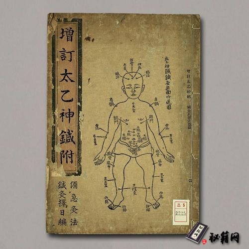 《增订太乙神针》