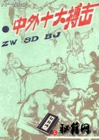 [武功秘籍][中外十大搏击].王洁.扫描版.pdf
