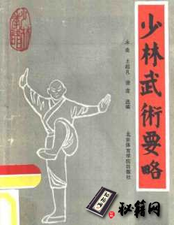 [武功秘籍]少林武术要略.pdf
