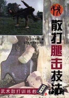 [武功秘籍]散打腿击技法.佟庆辉.pdf